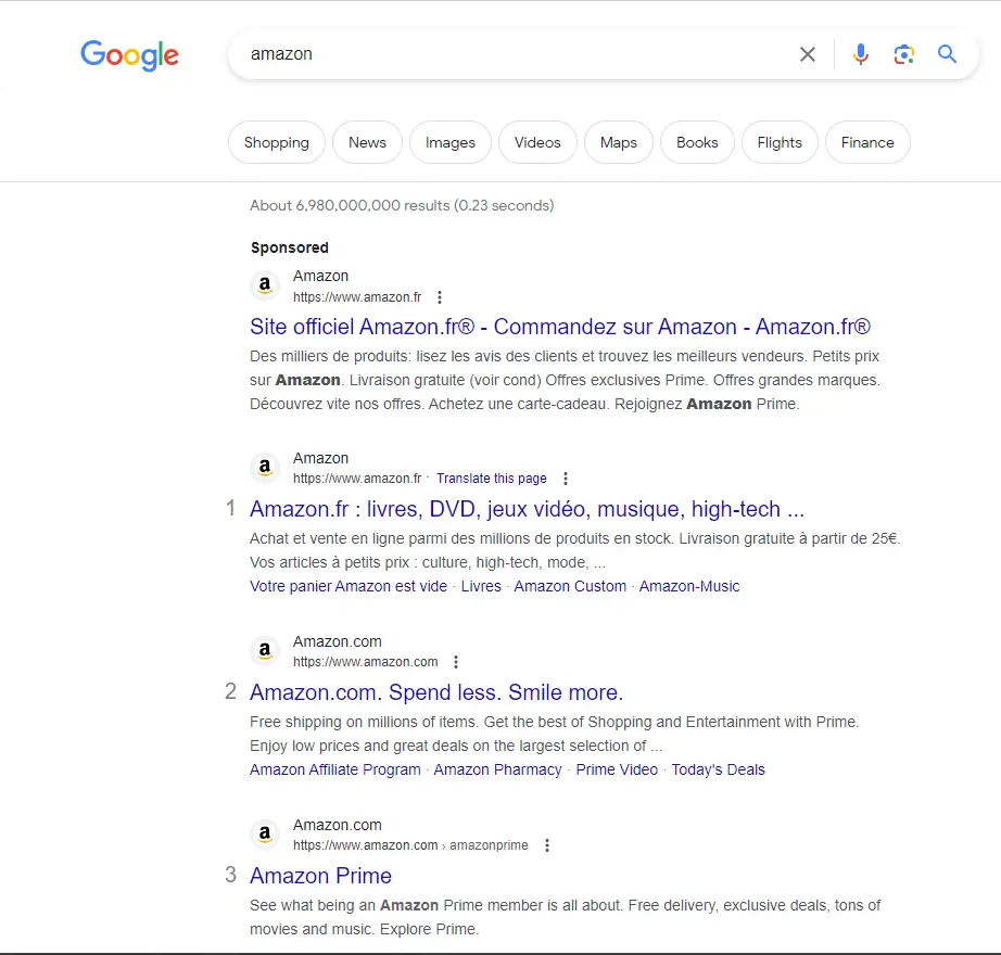 Exemple de SERP Google, Search Engine Result Page